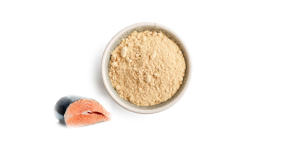 สารกระตุ้นความแข็งแรงของร่างกาย